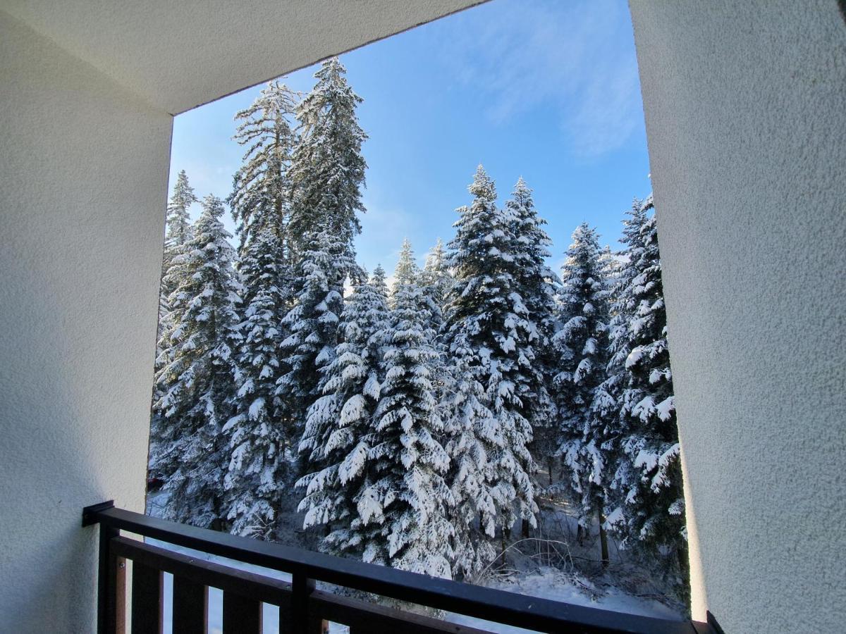 Pinewood Ang Luxurious Apartment A43, Borovets Gardens エクステリア 写真