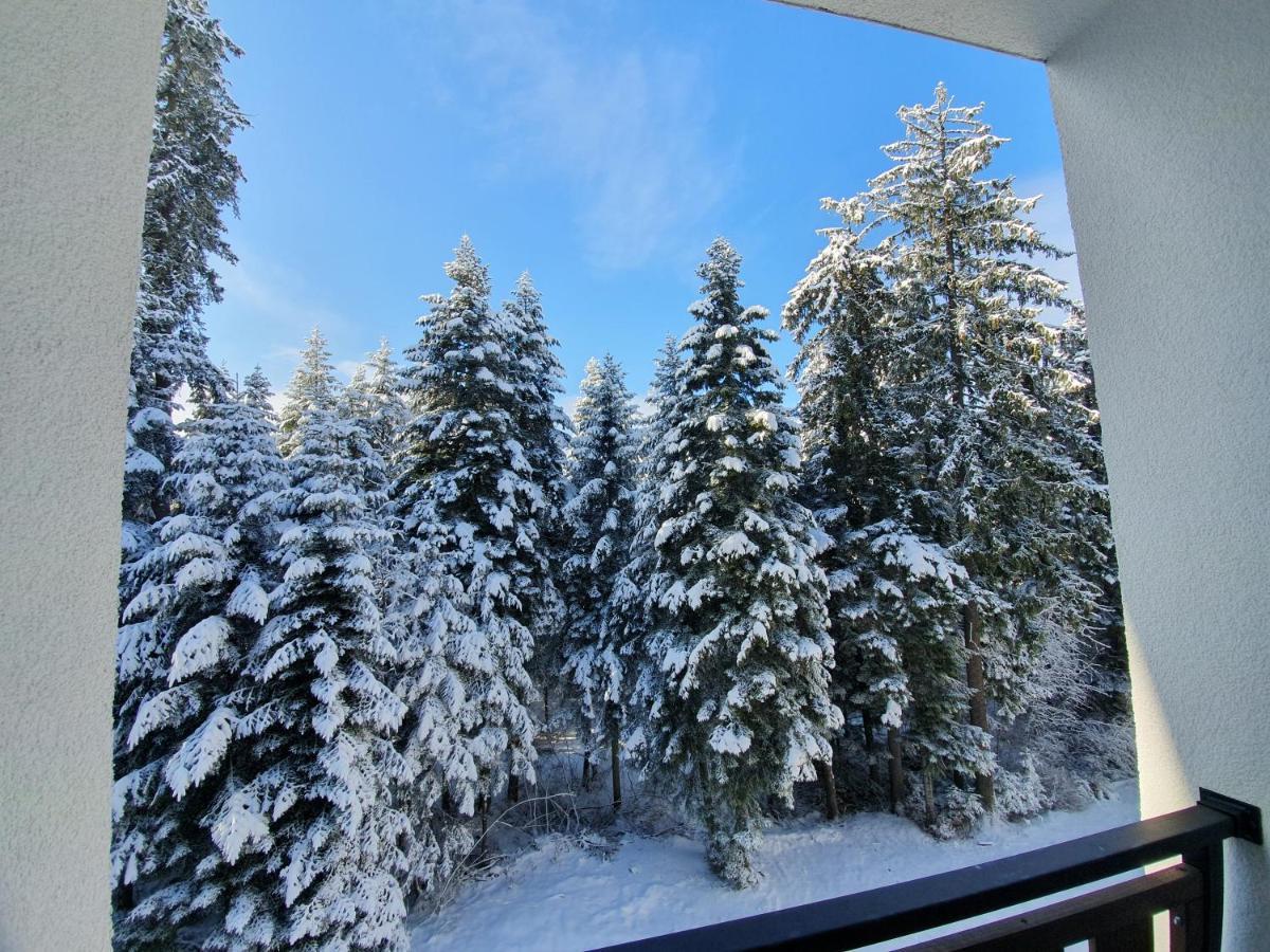 Pinewood Ang Luxurious Apartment A43, Borovets Gardens エクステリア 写真