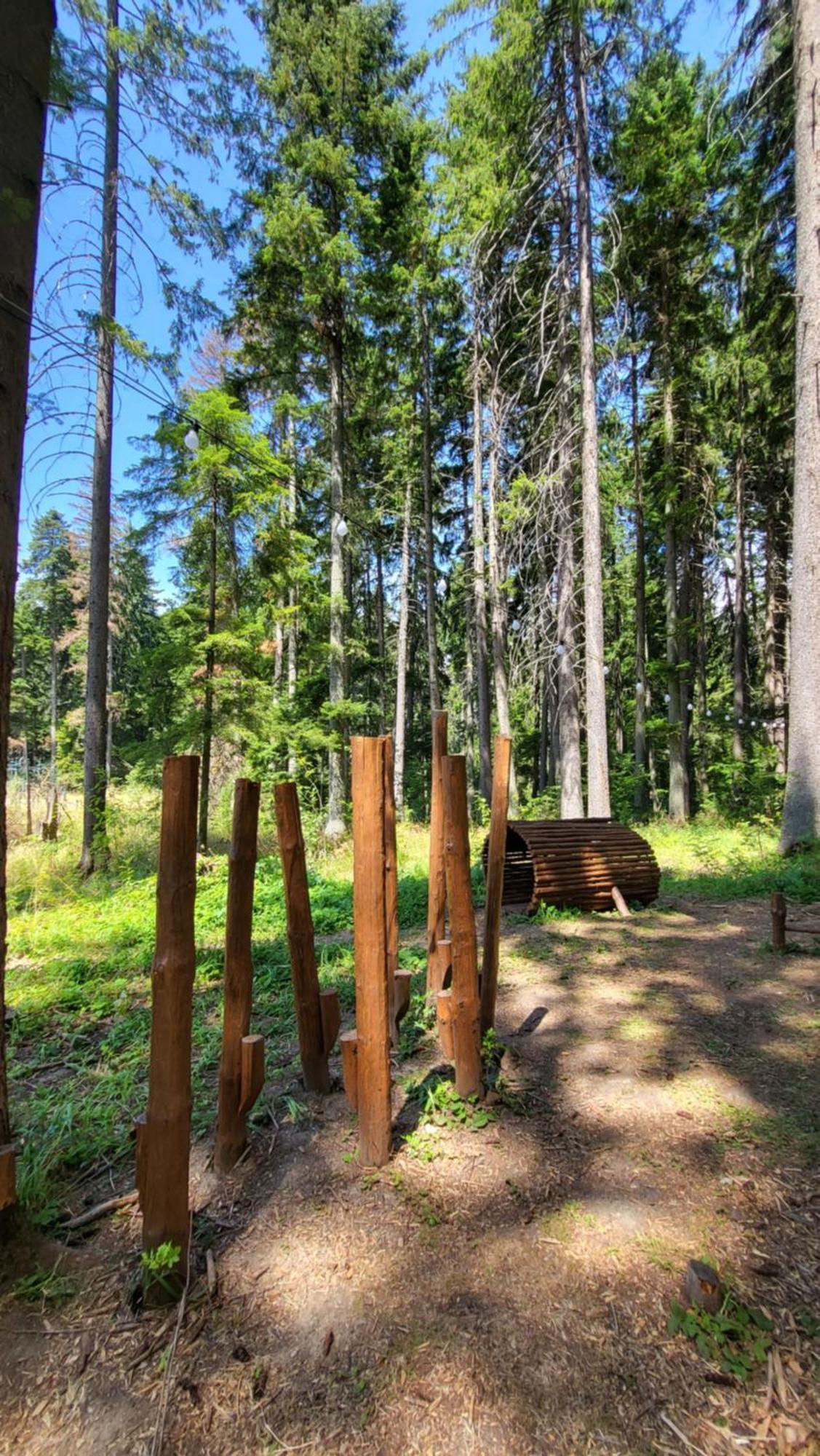 Pinewood Ang Luxurious Apartment A43, Borovets Gardens エクステリア 写真