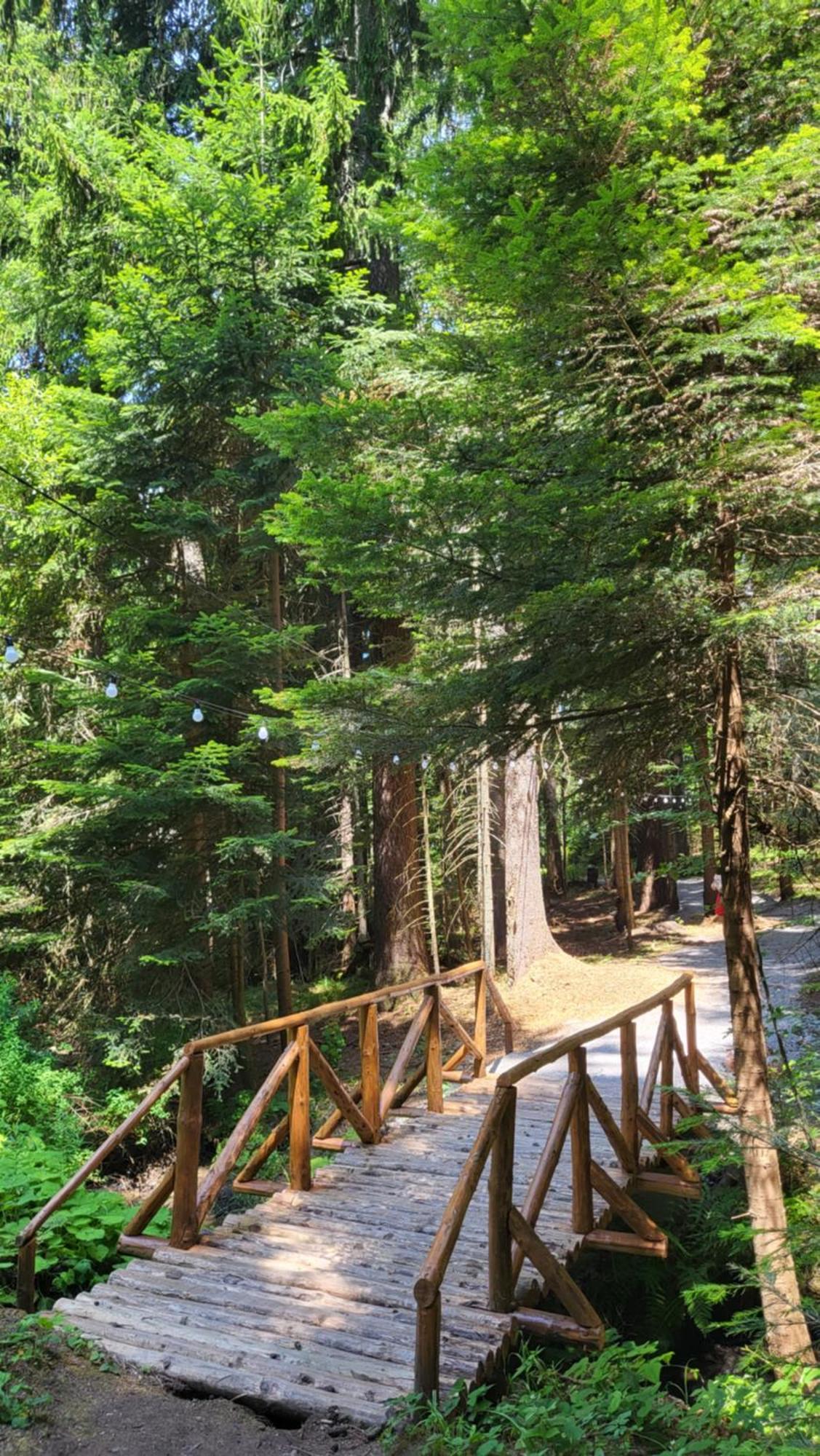 Pinewood Ang Luxurious Apartment A43, Borovets Gardens エクステリア 写真