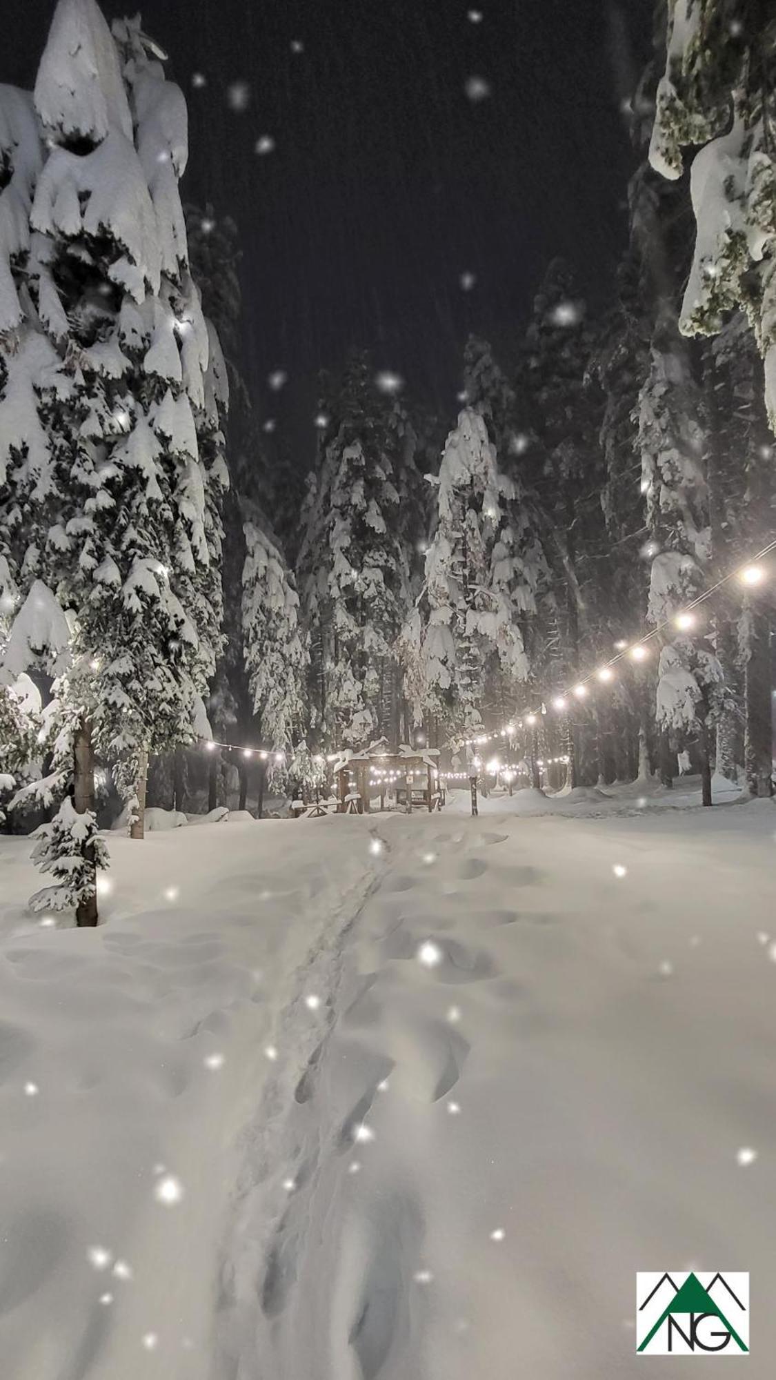 Pinewood Ang Luxurious Apartment A43, Borovets Gardens エクステリア 写真